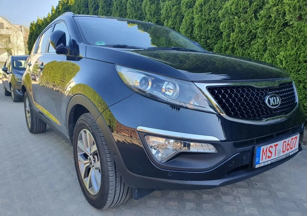 Kia Sportage cena 55950 przebieg: 58920, rok produkcji 2014 z Kędzierzyn-Koźle małe 562